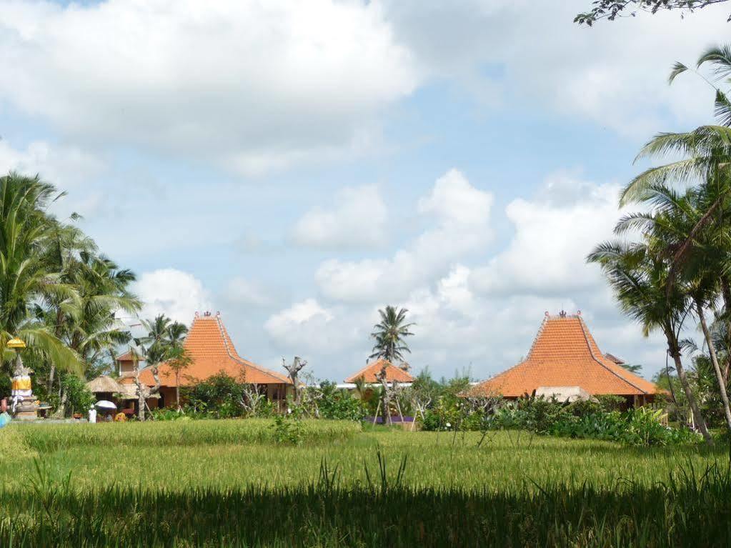 乌布Umajati Retreat别墅 外观 照片