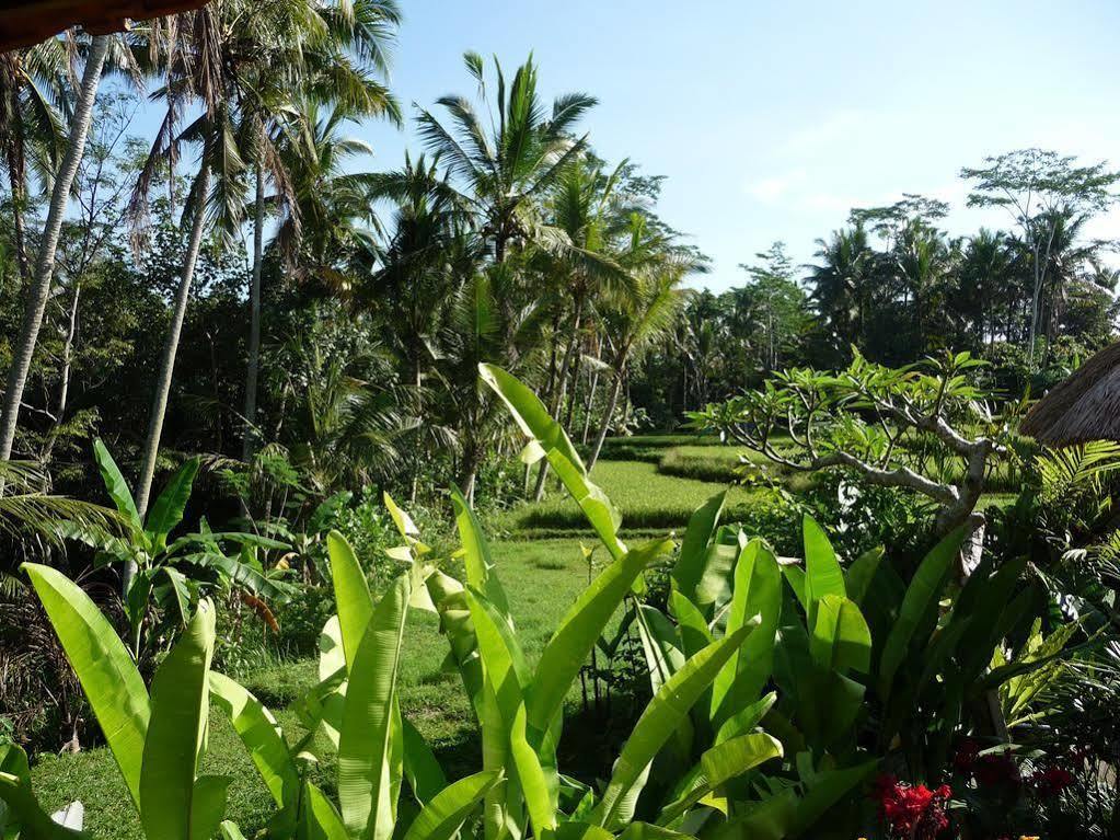 乌布Umajati Retreat别墅 外观 照片