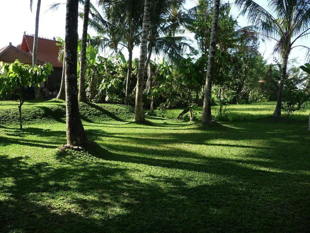 乌布Umajati Retreat别墅 外观 照片